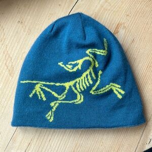 Real Arc’Teryx hat